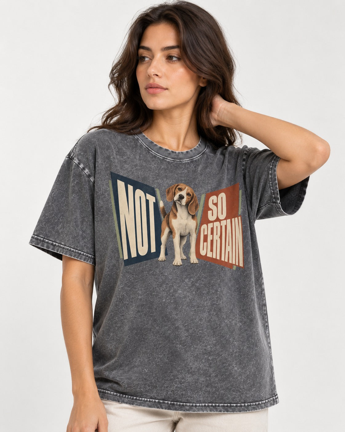 Beagle Not So Certain Retro Panel Graphic Washed Tee in Gray, worn by a model