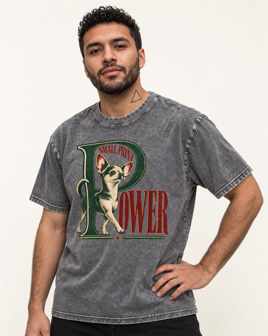 Chihuahua Small Print Power Monogram Graphic Washed Tee in Gray, worn by a model