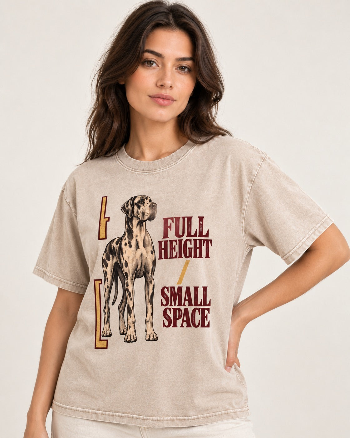 Great Dane Full Height Small Space Washed Tee in Apricot, worn by a model