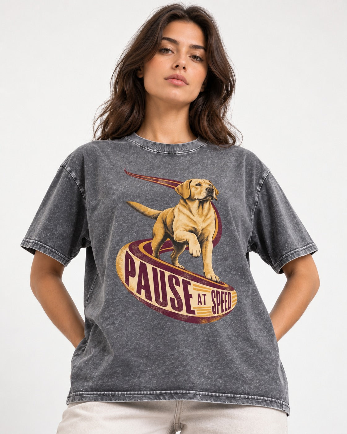 Labrador Retriever Pause at Speed Ribbon Graphic Washed Tee in Gray, worn by a model