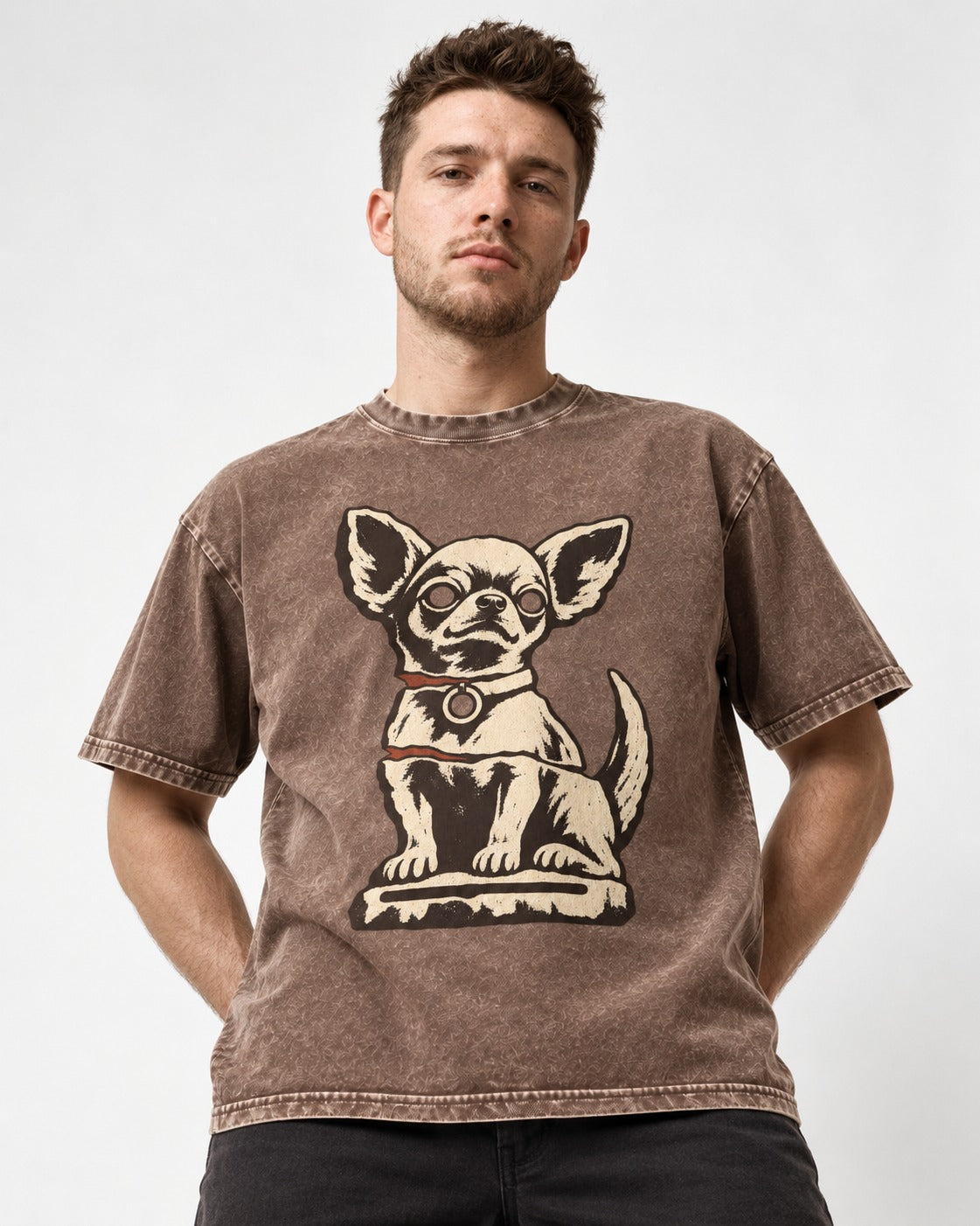 Chihuahua's Eternal Vigil Washed Tee in Coffee, worn by a model