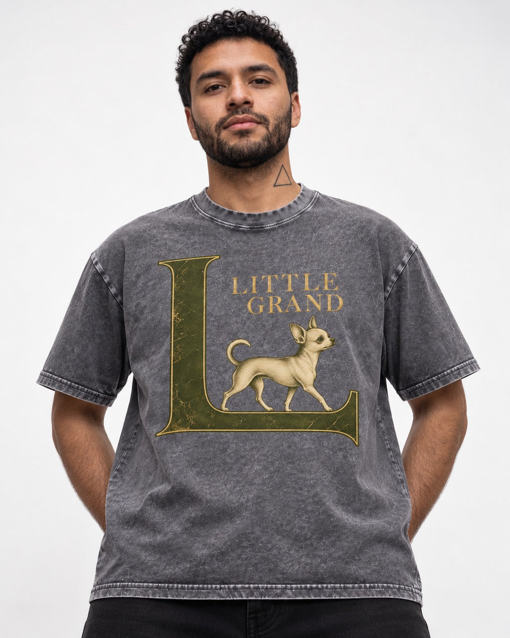 Little Grand Chihuahua Washed Tee in Gray, worn by a model