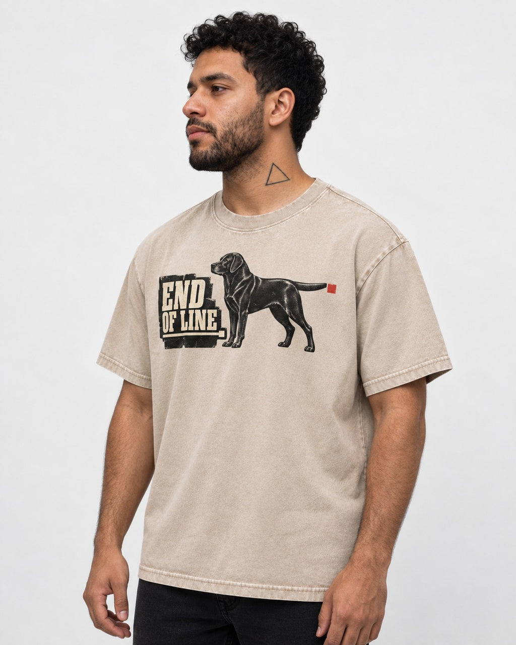 End of Line Labrador Retriever Washed Tee in Apricot, worn by a model