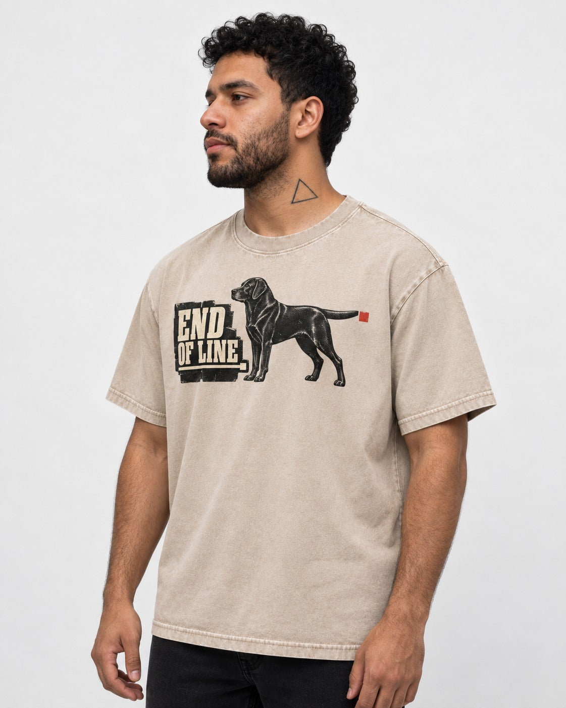 End of Line Labrador Retriever Washed Tee in Apricot, worn by a model