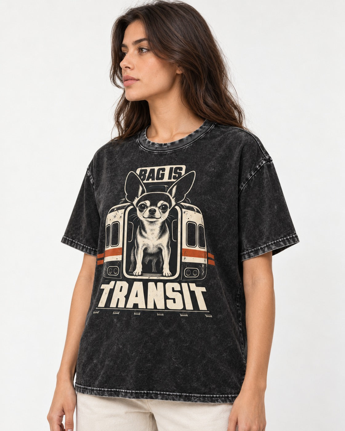 Chihuahua Bag Is Transit Train Front Graphic Washed Tee in Black, worn by a model