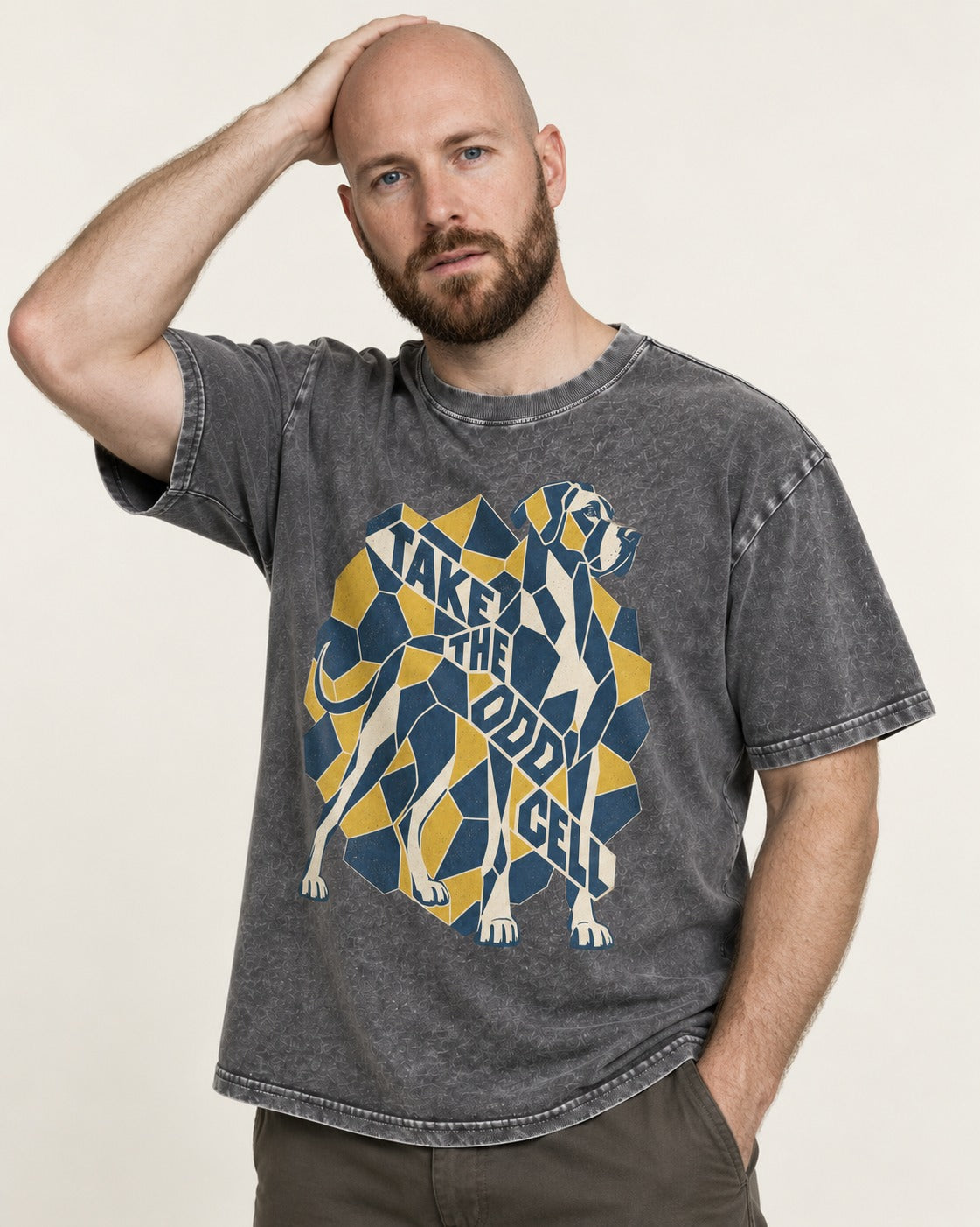 Take the Odd Cell Great Dane Washed Tee in Gray, worn by a model