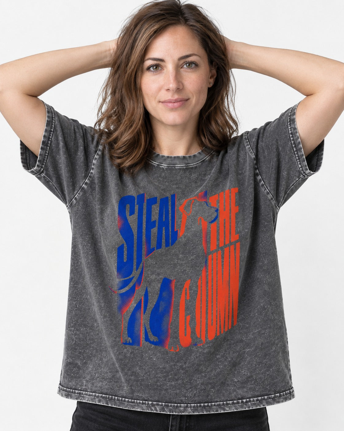 Steal the Show Great Dane Washed Tee in Gray, worn by a model