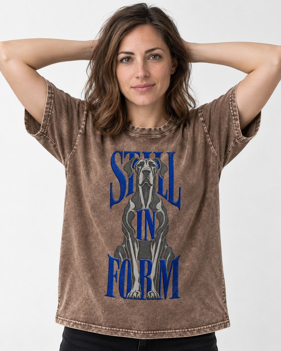 Still in Form Great Dane Washed Tee in Coffee, worn by a model