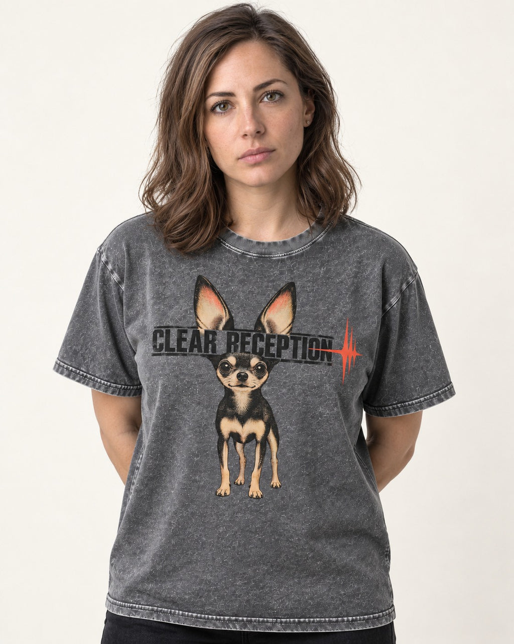 Chihuahua Clear Reception Washed Tee in Gray, worn by a model