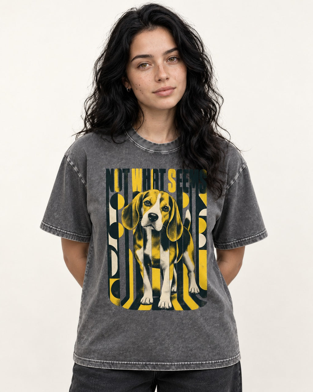 Not What It Seems Beagle Washed Tee in Gray, worn by a model