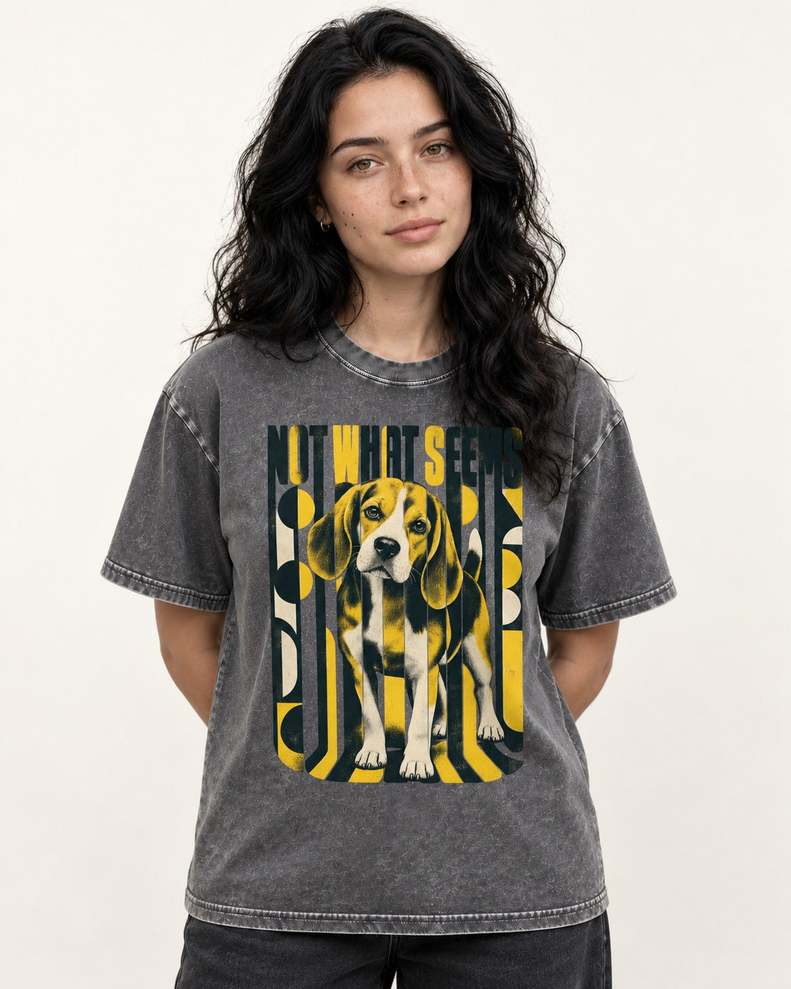 Not What It Seems Beagle Washed Tee in Gray, worn by a model
