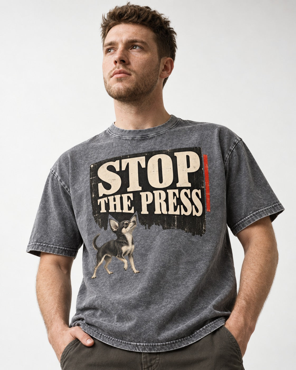 Stop the Press Chihuahua Washed Tee in Gray, worn by a model