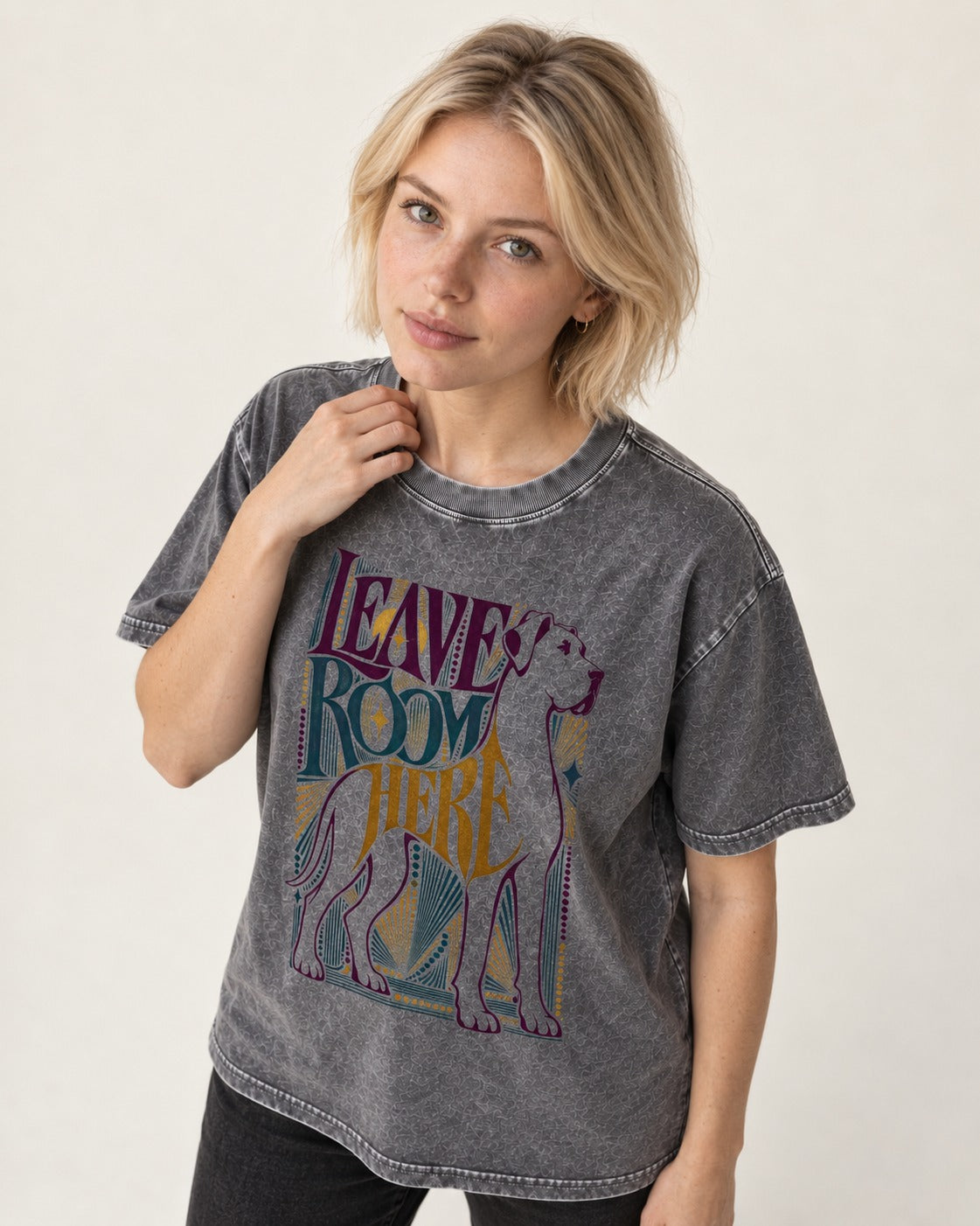 Leave Room for Great Dane Washed Tee in Gray, worn by a model