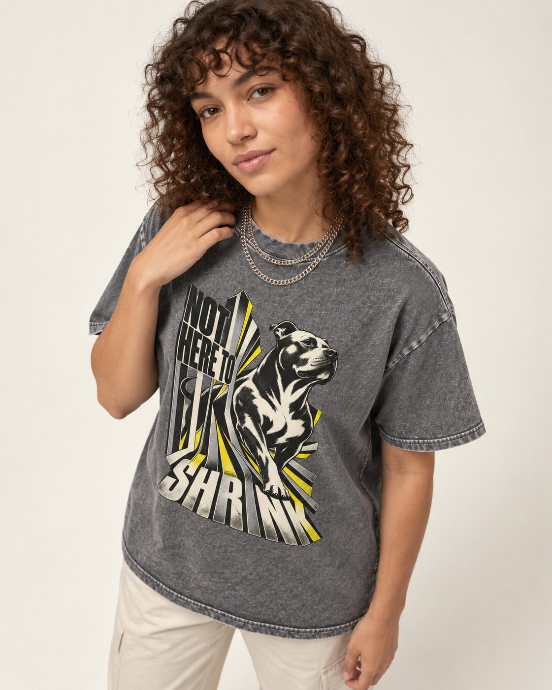 Not Here to Share Pitbull Washed Tee in Gray, worn by a model