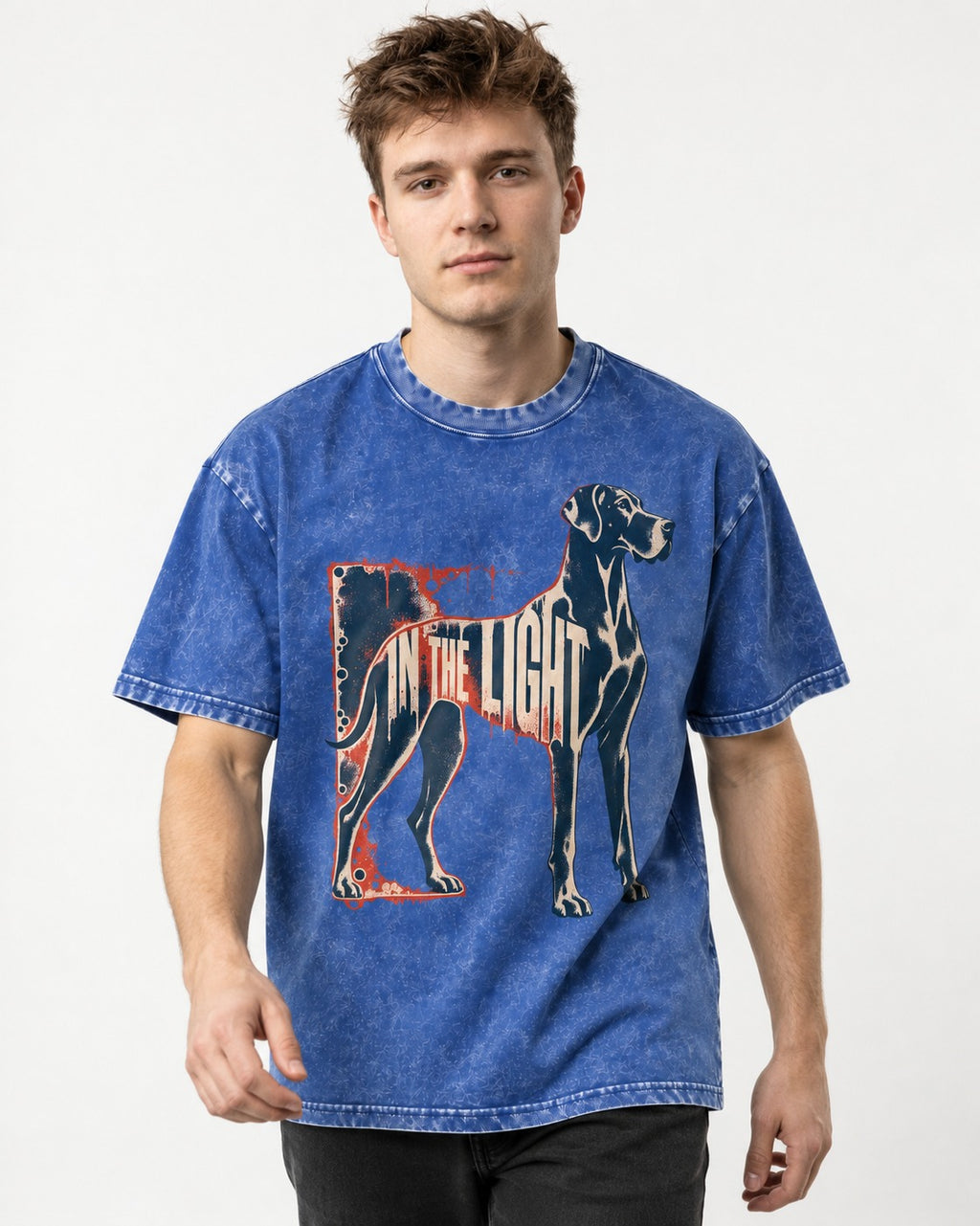Great Dane In the Light Industrial Frame Graphic Washed Tee in Royal Blue, worn by a model