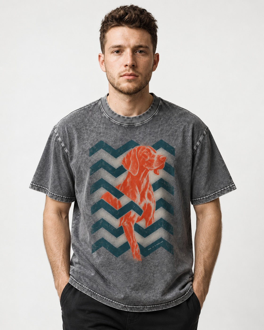 German Shorthaired Pointer Far Is a Feeling Chevron Graphic Washed Tee in Gray, worn by a model