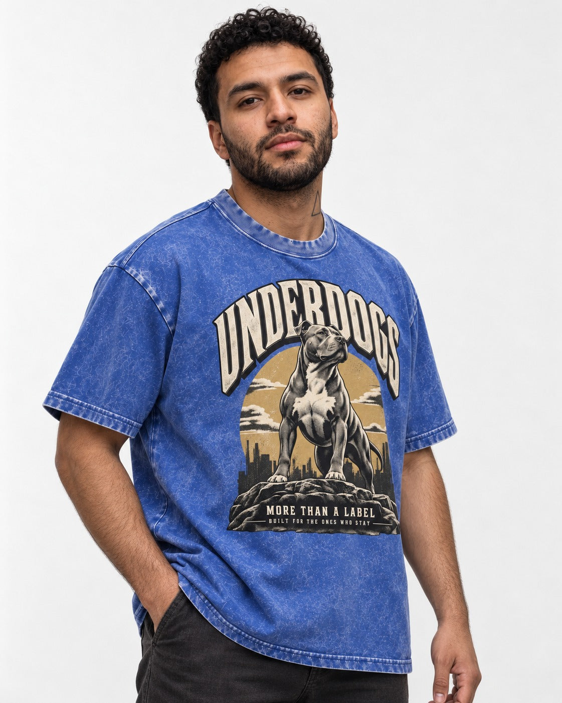 Pitbull Underdogs City Monument Graphic Washed Tee in Royal Blue, worn by a model