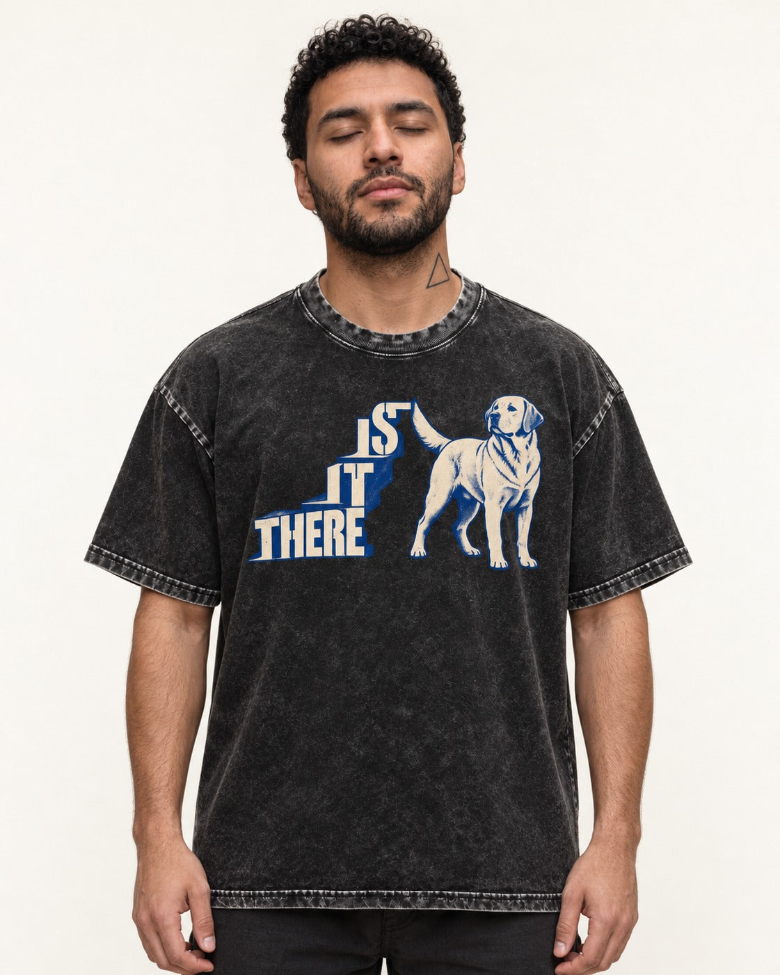 Labrador Retriever Is It There Stair-Step Graphic Washed Tee in Black, worn by a model