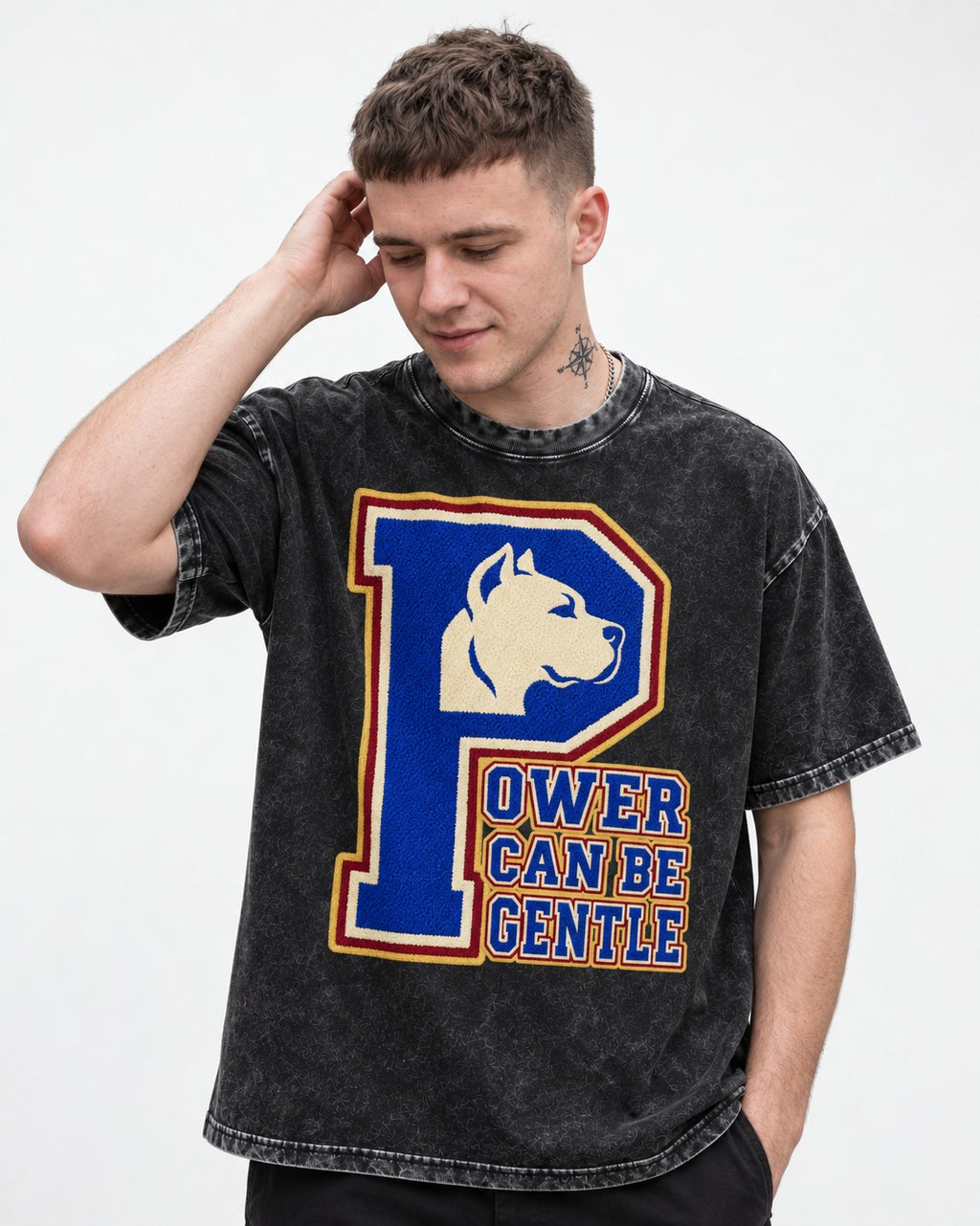 Pitbull Power Can Be Gentle Varsity Graphic Washed Tee in Black, worn by a model