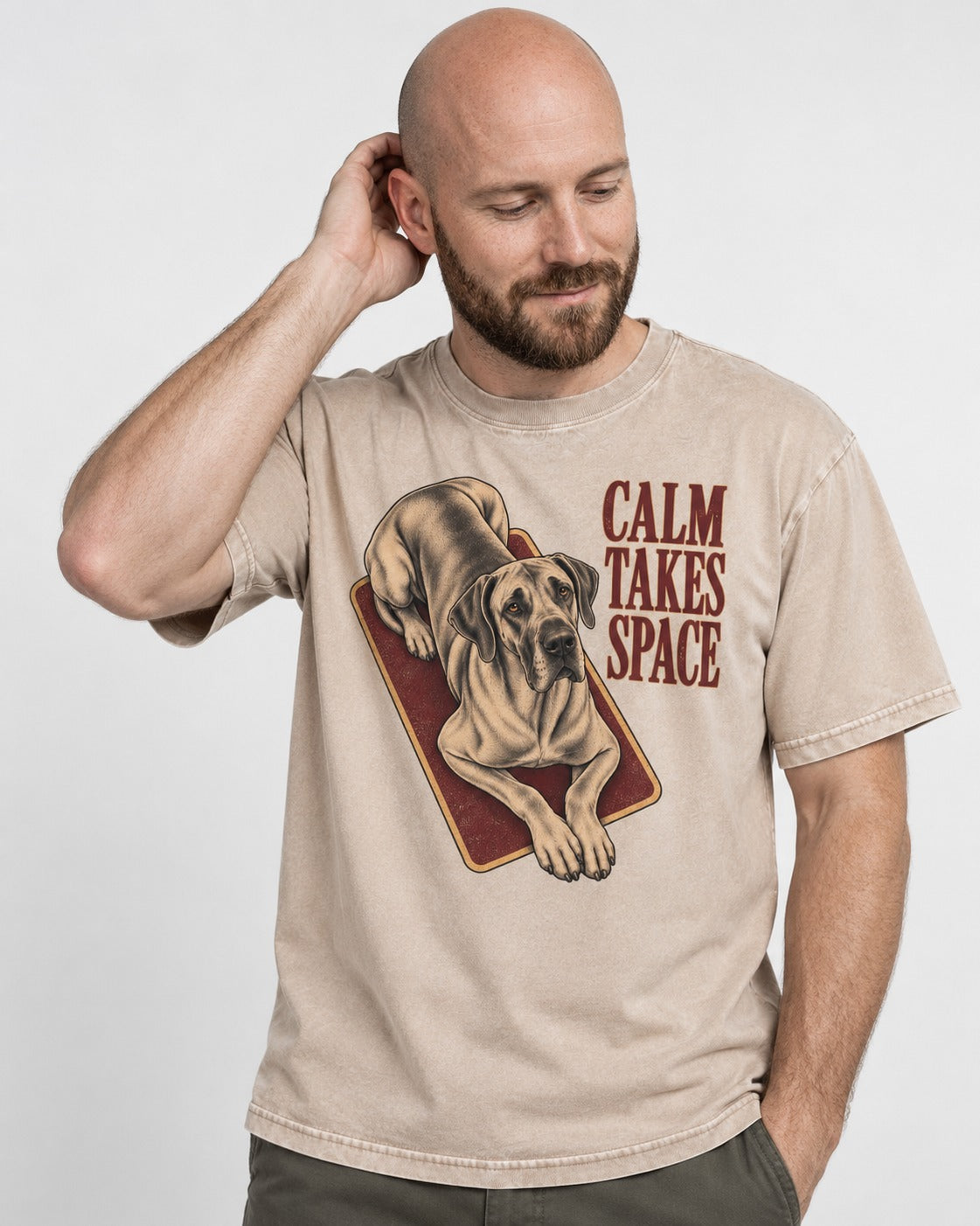 Great Dane Calm Takes Space Washed Tee in Apricot, worn by a model