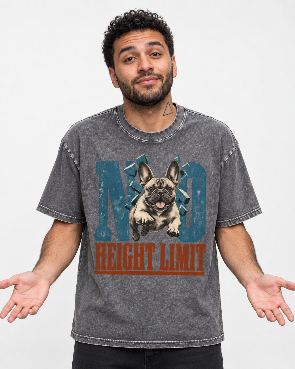 No Height Limit Frenchie Washed Tee in Gray, worn by a model