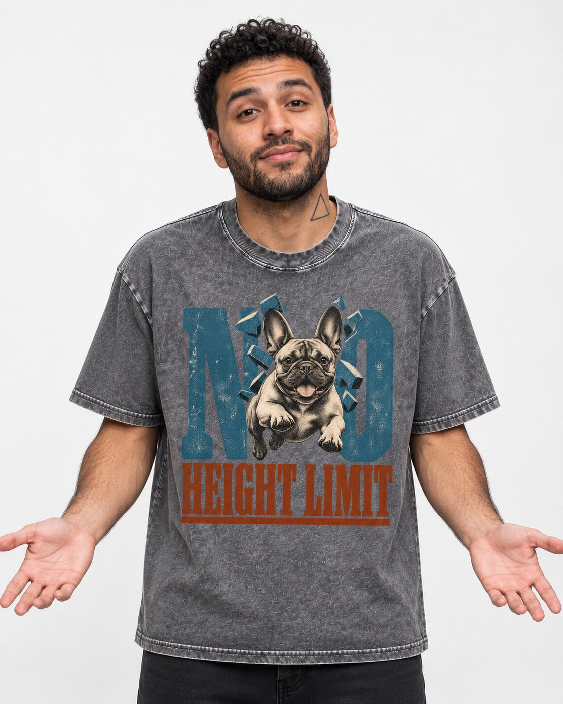 No Height Limit Frenchie Washed Tee in Gray, worn by a model