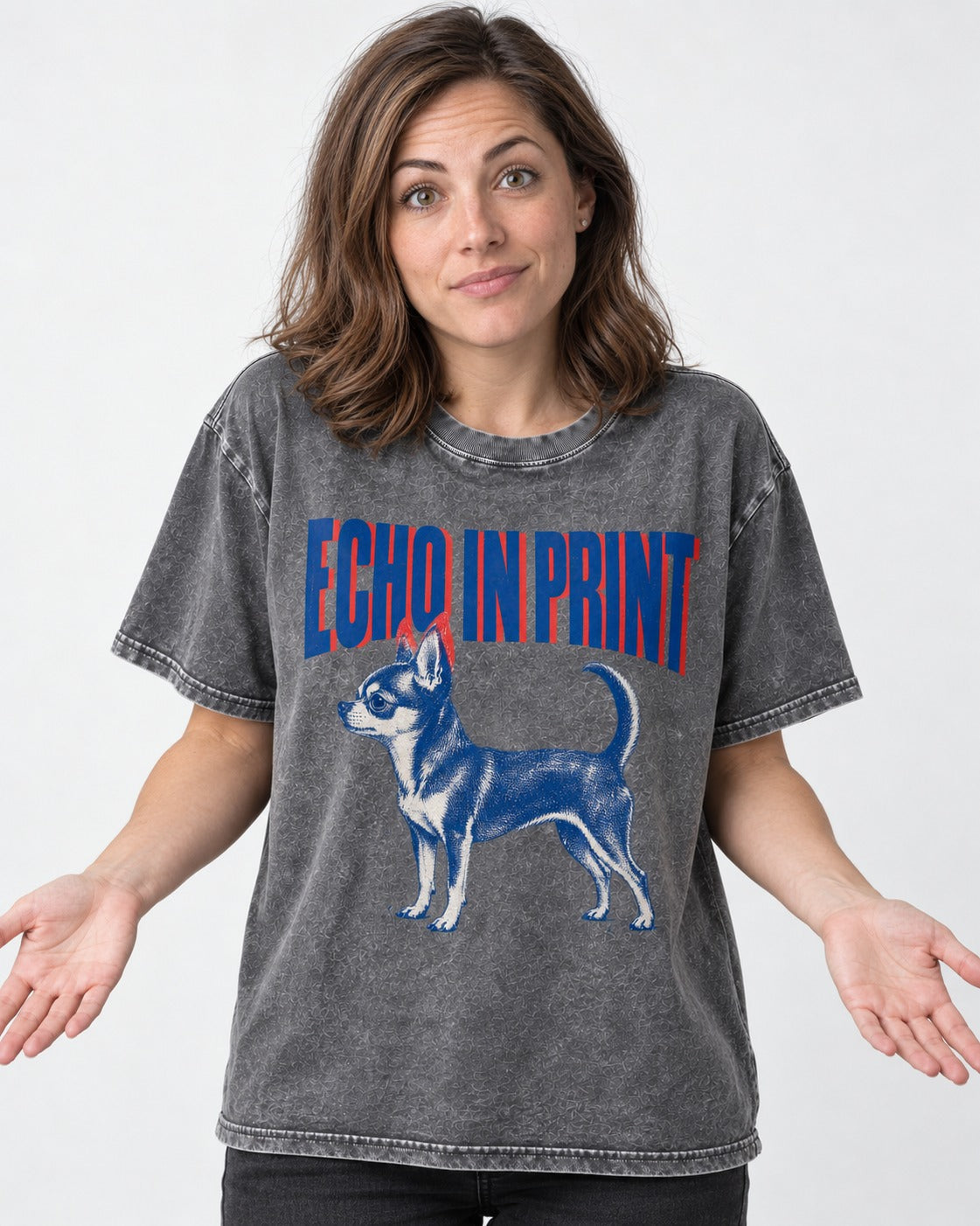 Chihuahua Echo Washed Tee in Gray, worn by a model