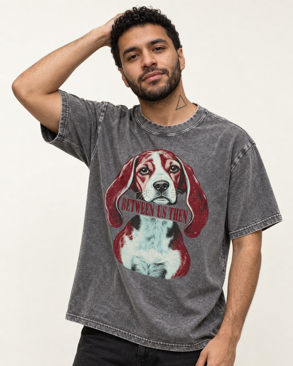 Beagle Between Us Then Washed Tee in Gray, worn by a model