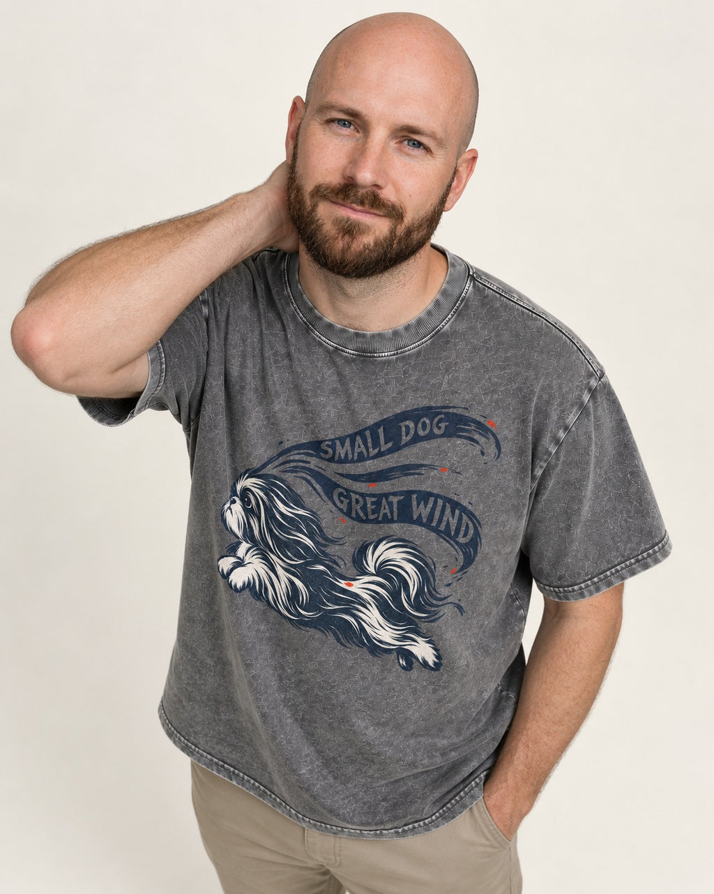Small Shih Tzu Great Wind Washed Tee in Gray, worn by a model