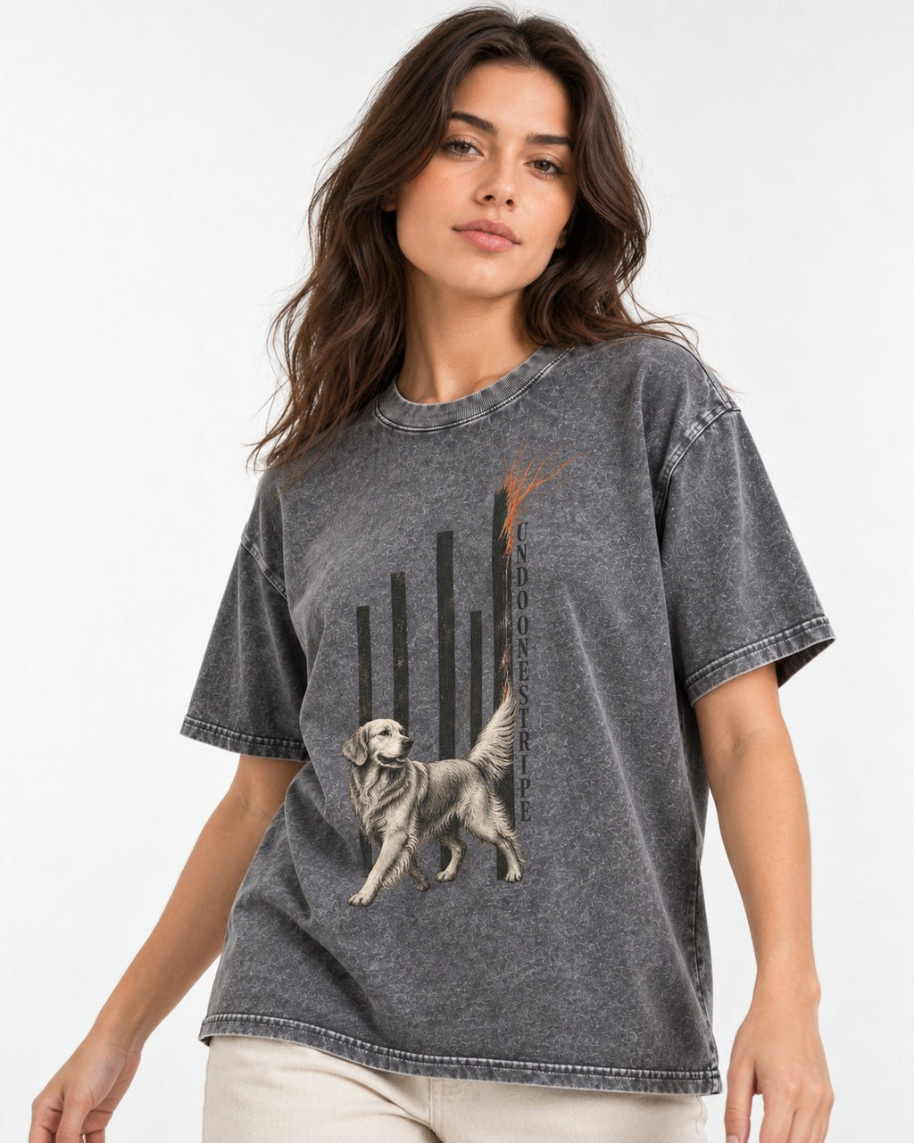 Undo One Stripe Golden Retriever Washed Tee in Gray, worn by a model