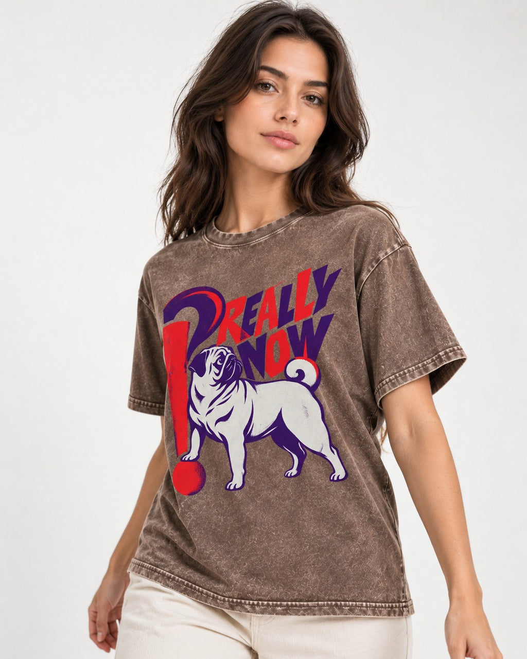 Really Now Pug Washed Tee in Coffee, worn by a model