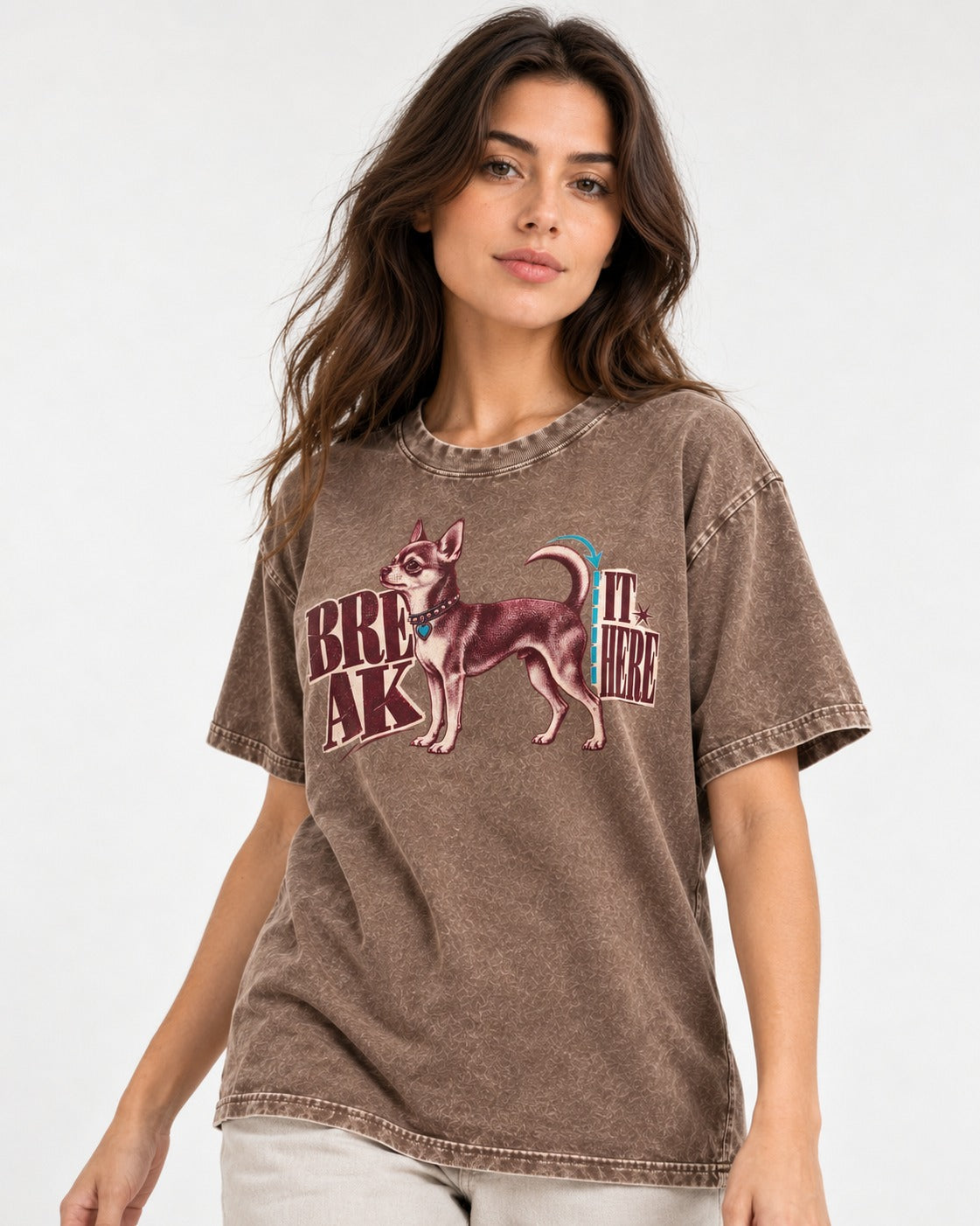 Chihuahua Break It Here Perforation Graphic Washed Tee in Coffee, worn by a model