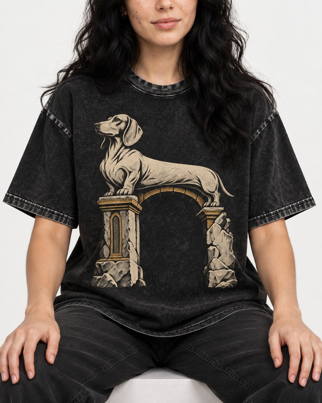 Dachshund Ruined Stone Arch Monument Graphic Washed Tee in Black, worn by a seated model