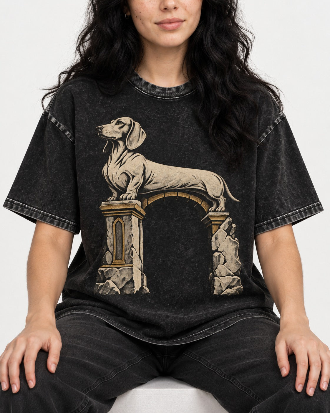 Dachshund Ruined Stone Arch Monument Graphic Washed Tee in Black, worn by a seated model