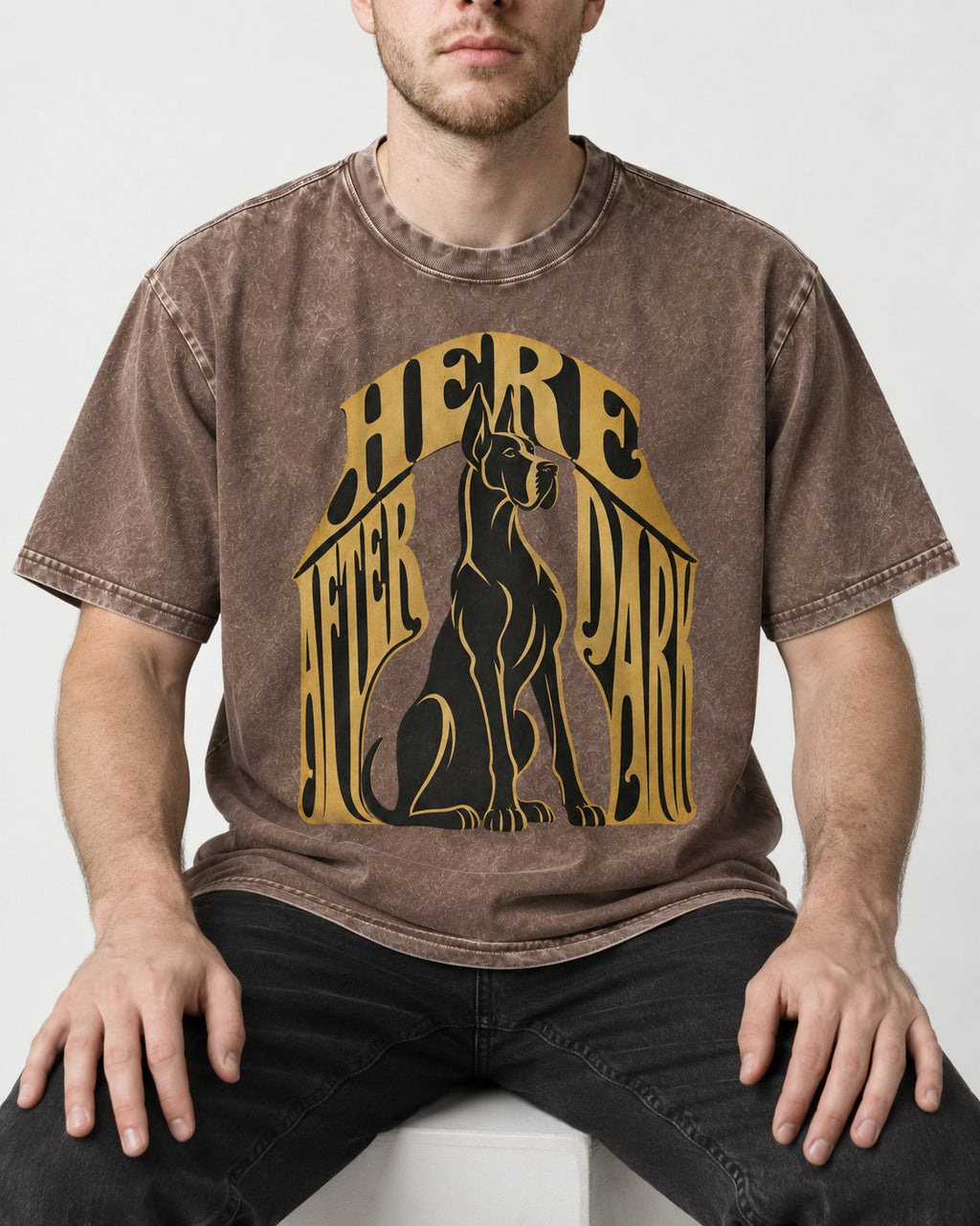 Great Dane Here After Dark Washed Tee in Coffee, worn by a seated model