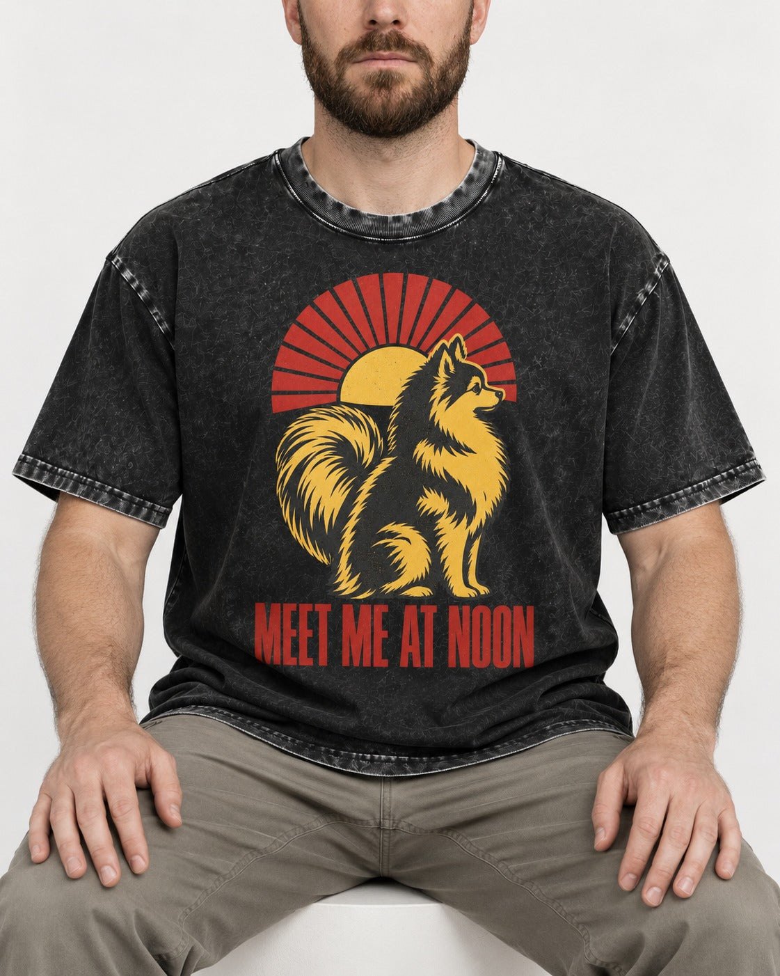 Pomeranian Meet Me at Noon Sunburst Graphic Washed Tee in Black, worn by a seated model