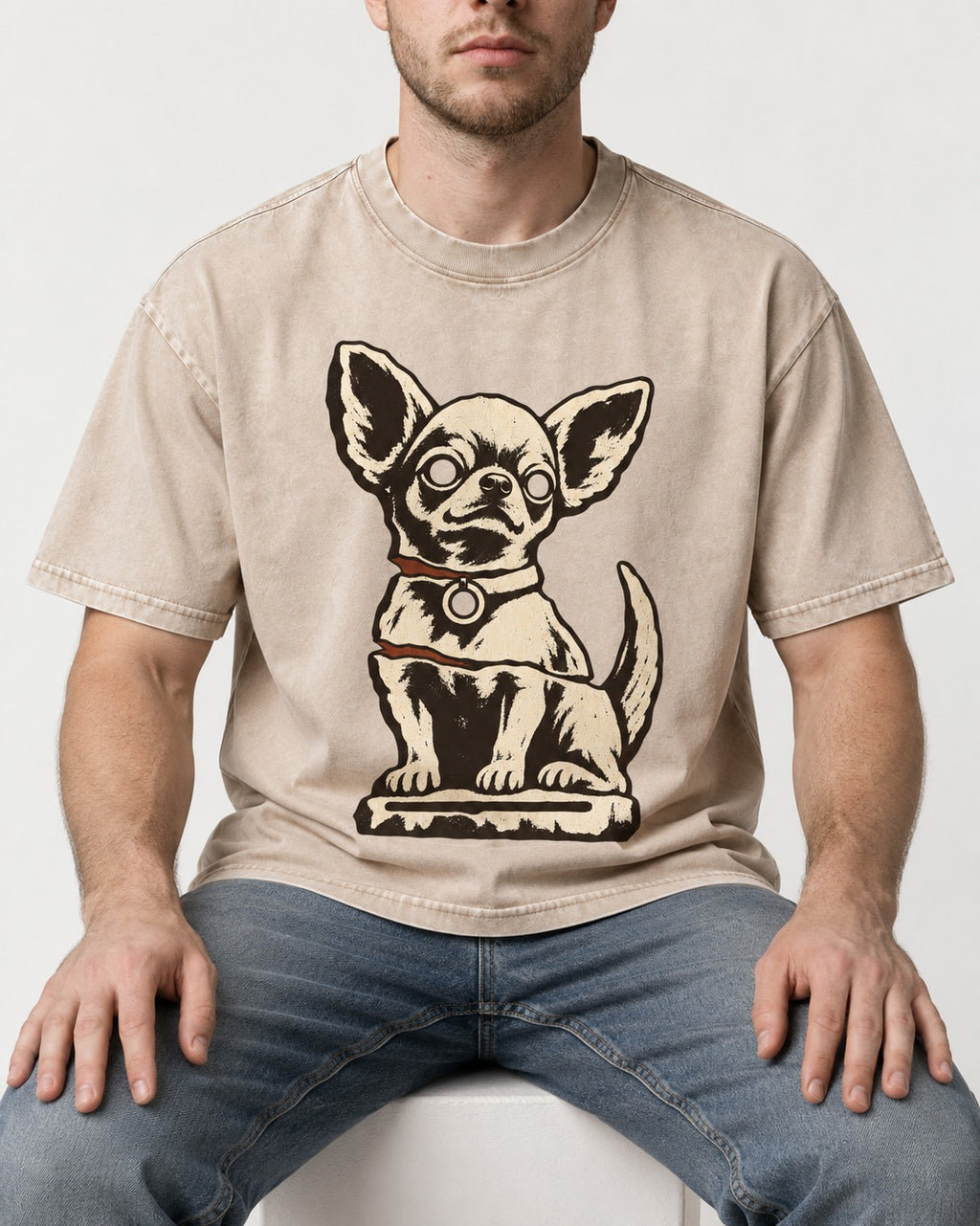 Chihuahua's Eternal Vigil Washed Tee in Apricot, worn by a seated model