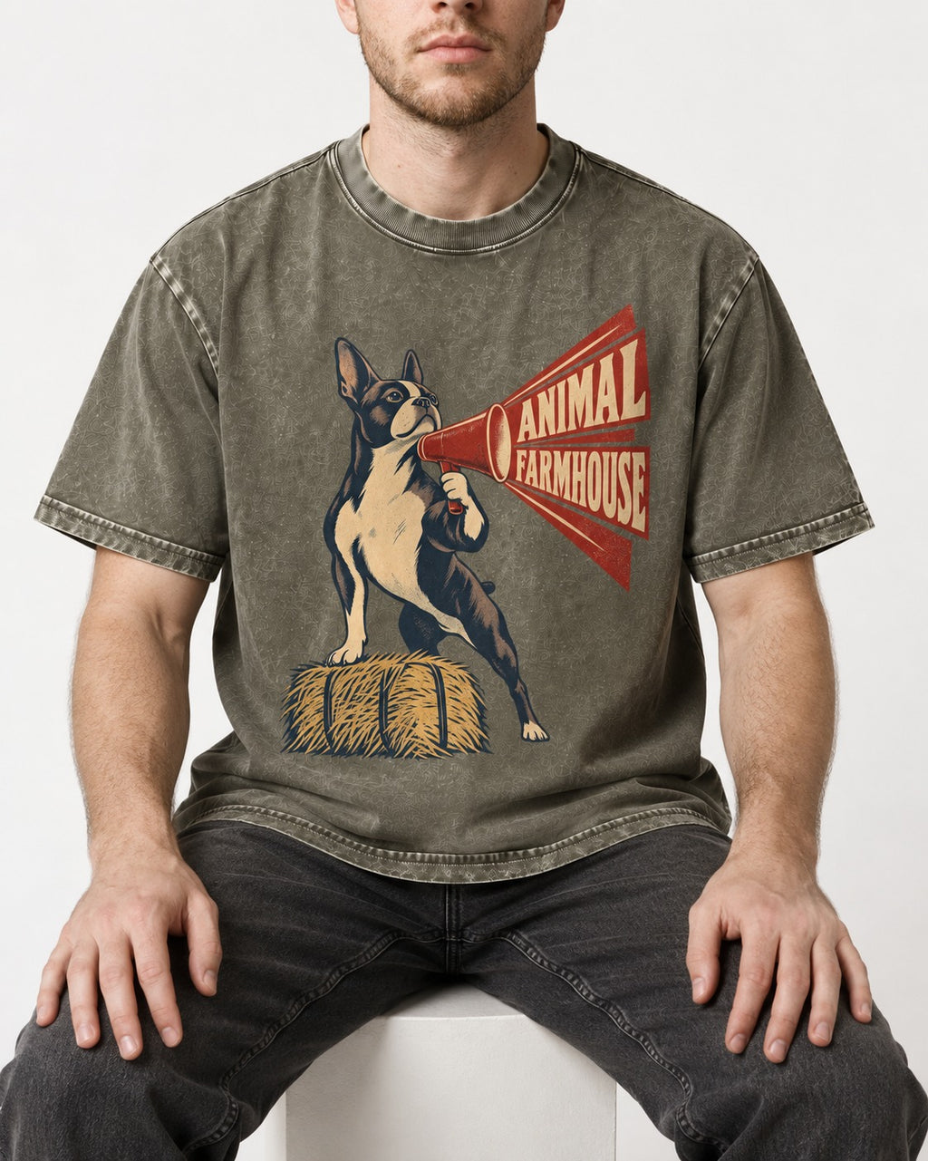 Animal Farmhouse Boston Terrier Washed Tee in Army Green, worn by a seated model
