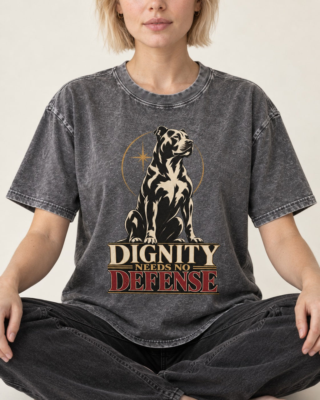 Pitbull Dignity Needs No Defense Seated Emblem Graphic Washed Tee in Gray, worn by a seated model