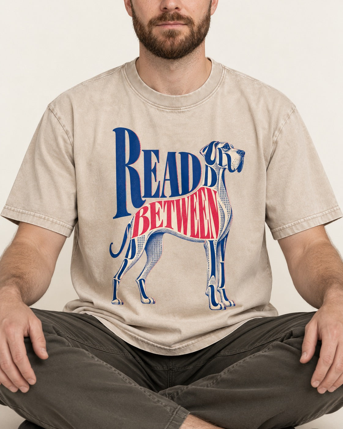 Read Between the Lines Great Dane Washed Tee in Apricot, worn by a seated model