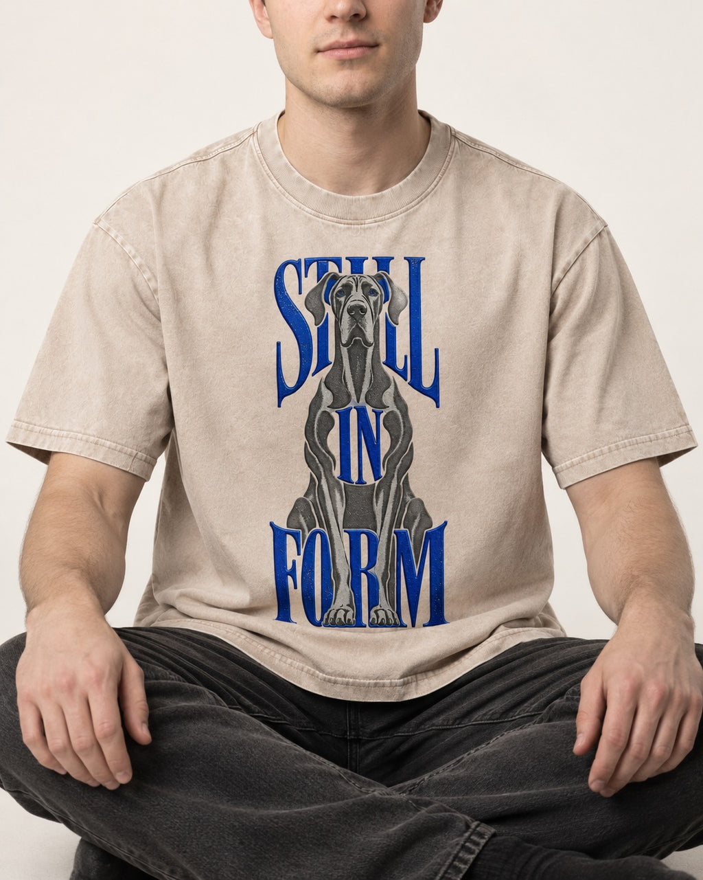 Still in Form Great Dane Washed Tee in Apricot, worn by a seated model