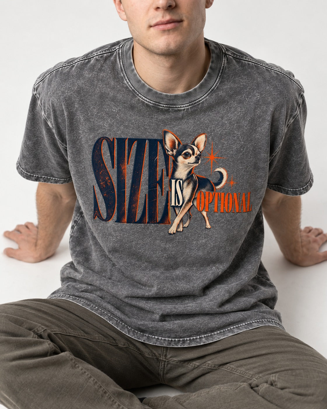 Chihuahua Size Is Optional Starburst Graphic Washed Tee in Gray, worn by a seated model
