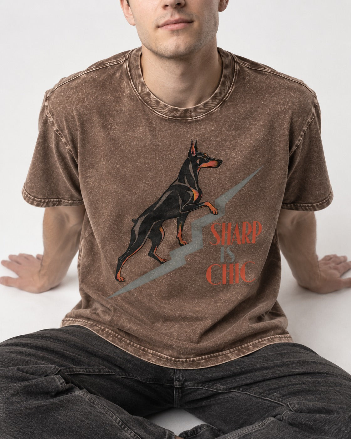 Doberman Is Chic Washed Tee in Coffee, worn by a seated model