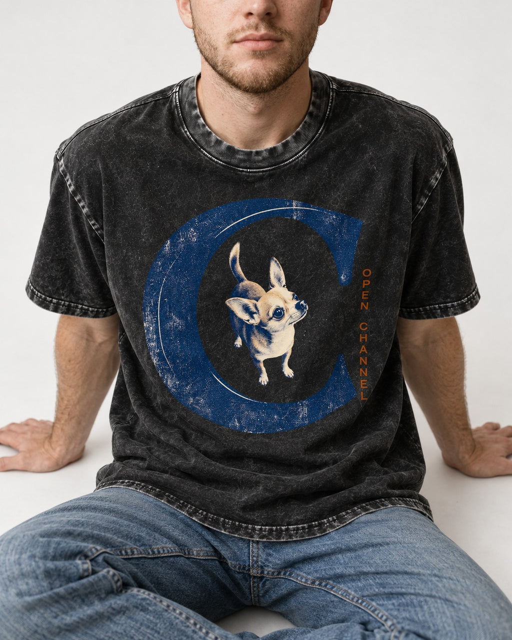Chihuahua Open Channel Washed Tee in Black, worn by a seated model