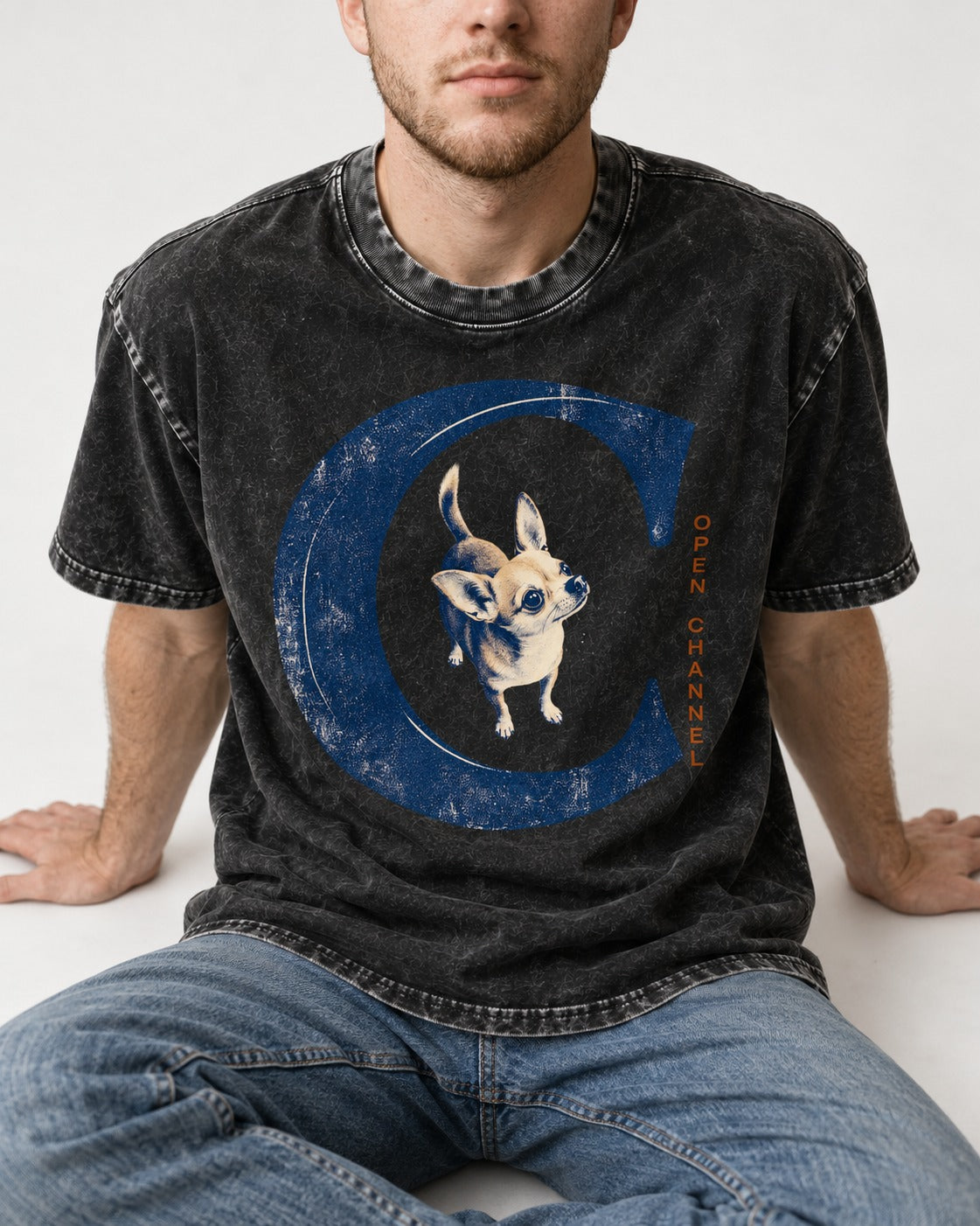 Chihuahua Open Channel Washed Tee in Black, worn by a seated model