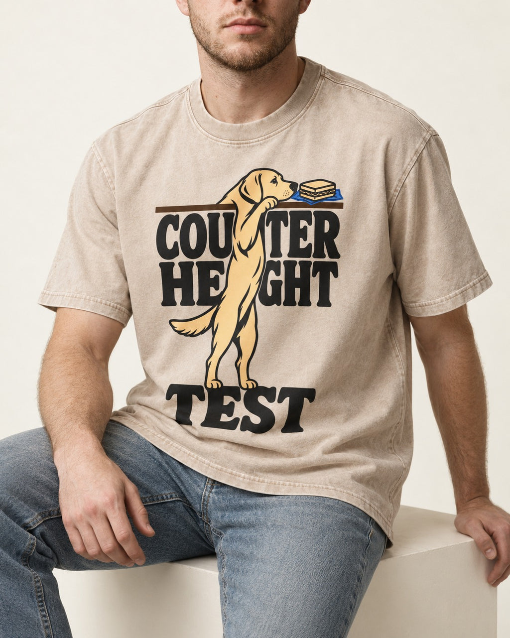 Labrador Retriever Counter Height Test Washed Tee in Apricot, worn by a seated model