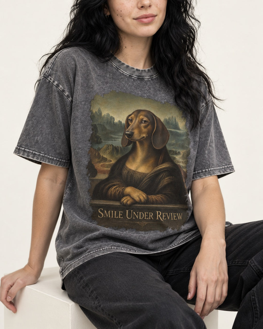 Dachshund Smile Under Review Mona Lisa Graphic Washed Tee in Gray, worn by a seated model
