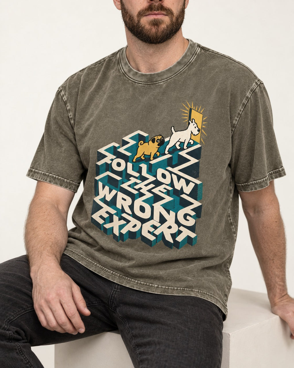 Pug Follow the Wrong Expert Isometric Maze Graphic Washed Tee in Army Green, worn by a seated model