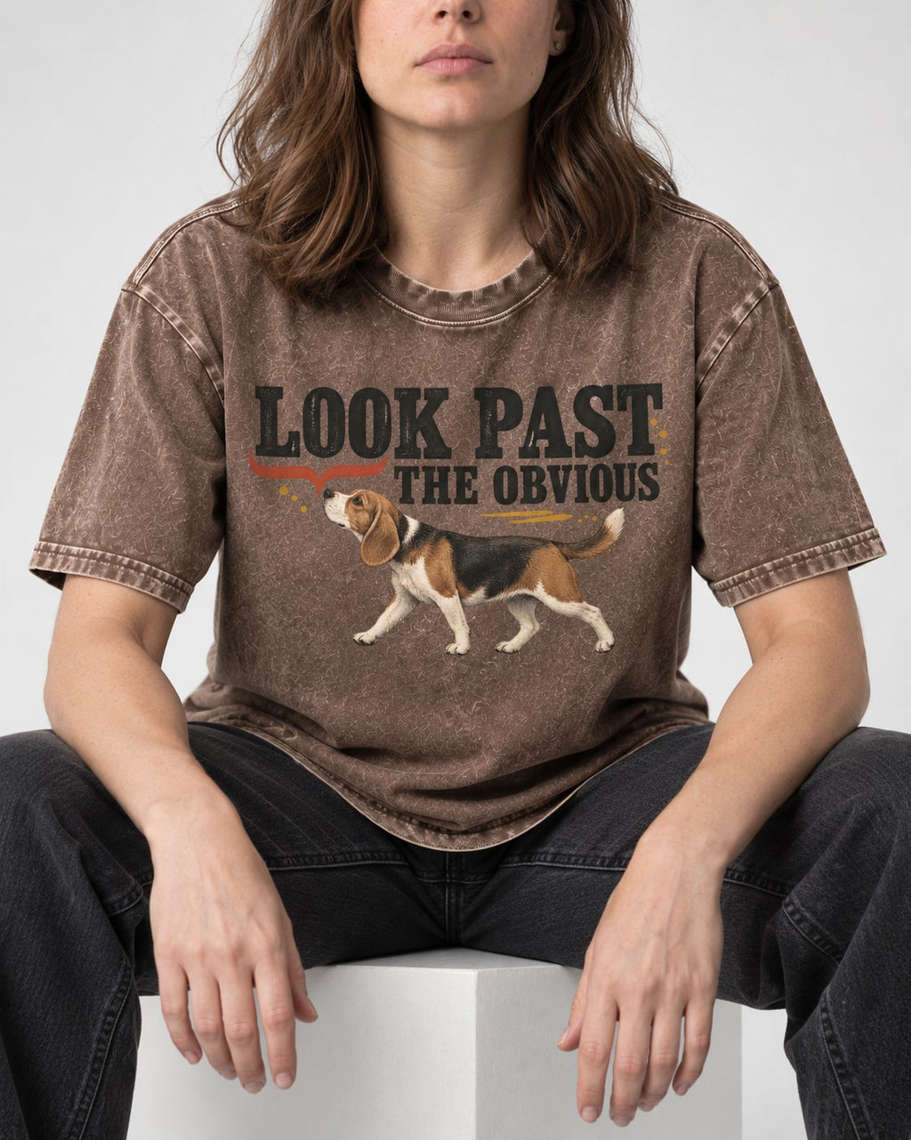 Beagle Look Past the Obvious Washed Tee in Coffee, worn by a seated model