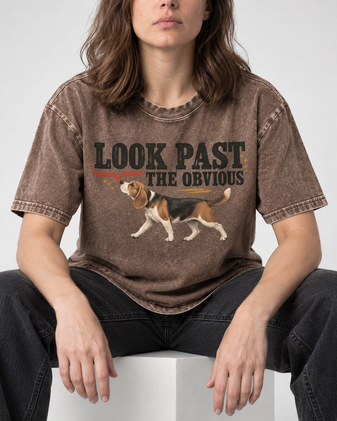 Beagle Look Past the Obvious Washed Tee in Coffee, worn by a seated model